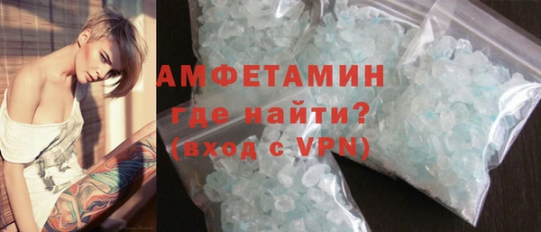 шишки Аркадак