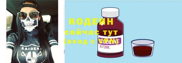 шишки Аркадак