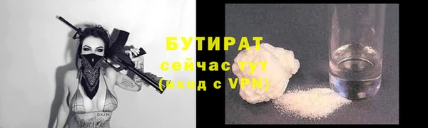 шишки Аркадак