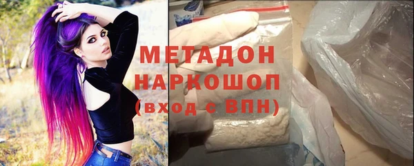 шишки Аркадак