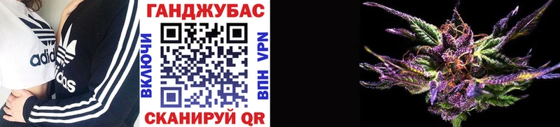 Конопля VHQ  где найти   Теберда 